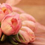 Bonne Fête des Belles-Mères !